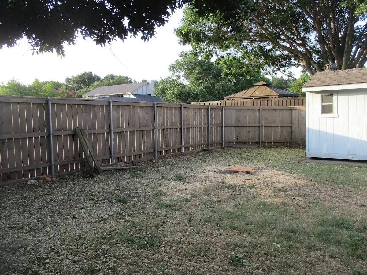 Cleared yard after professional tree removal in Rio Verde