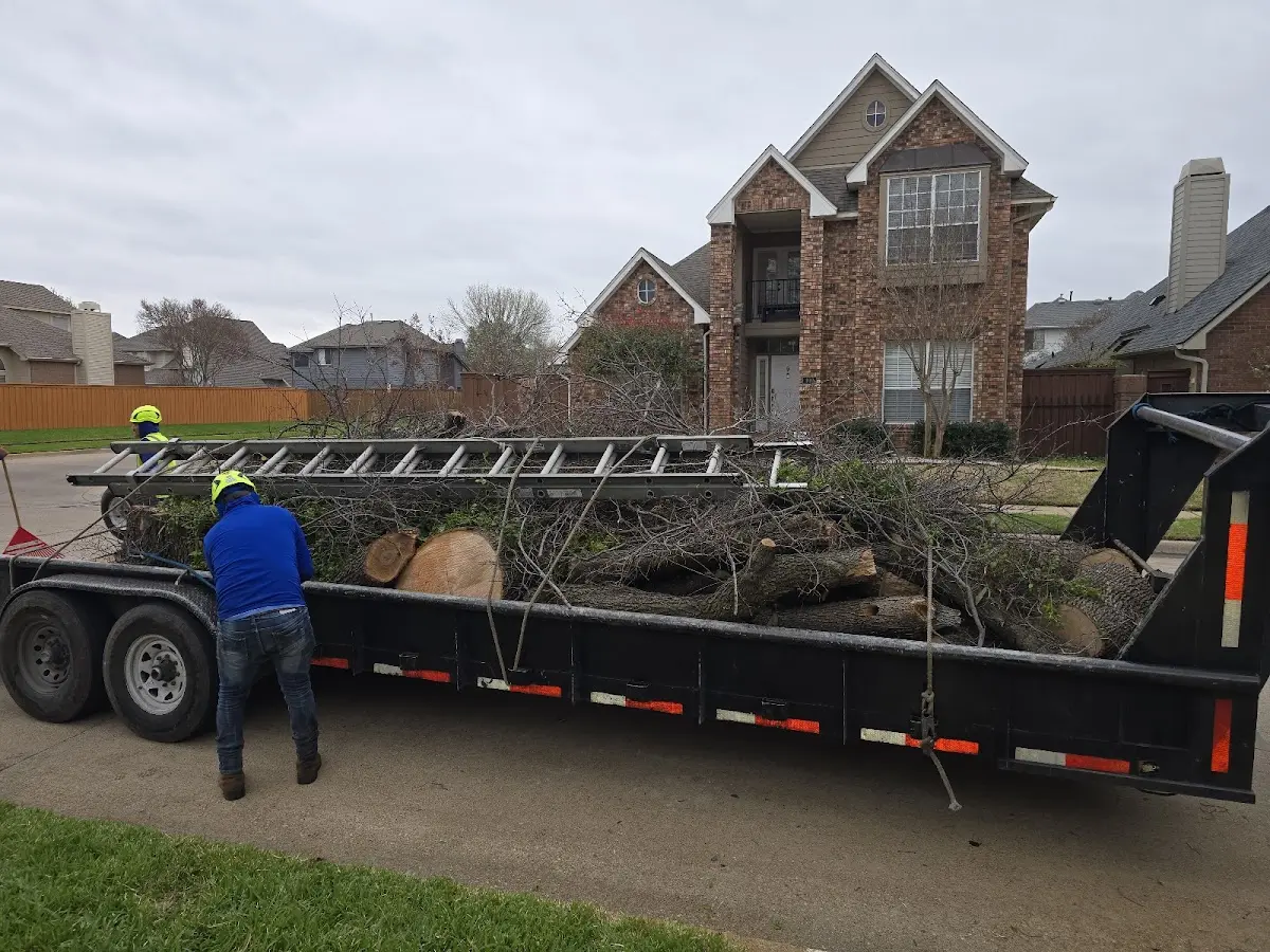 Expert Tree Removal with proper safety equipment in Rio Verde